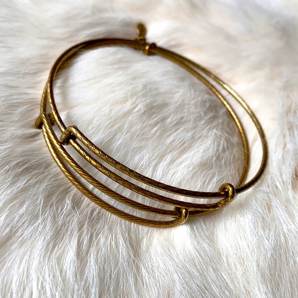 Alex and Ani Rafaelian Filler Bracelets {Set of 2}